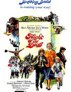 Голуби улетели