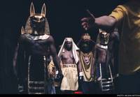 Кадр Бой с тенью