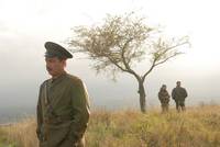 Кадр Откричат журавли