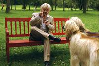 Кадр Мистер Гафф