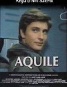 Aquile