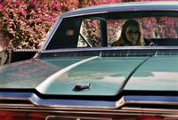 Кадр Дама в очках и с ружьем в автомобиле