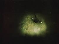 Кадр Сказка сказок