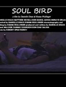 Soul Bird