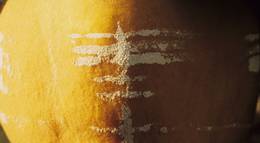 Кадр из фильма "Солнце в листве айвового дерева" - 1