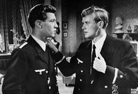 Кадр Акулы и мелкие рыбешки