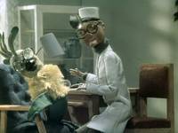 Кадр Боцман и попугай