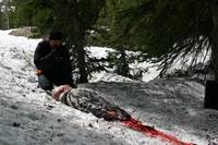 Кадр Ледяные пауки