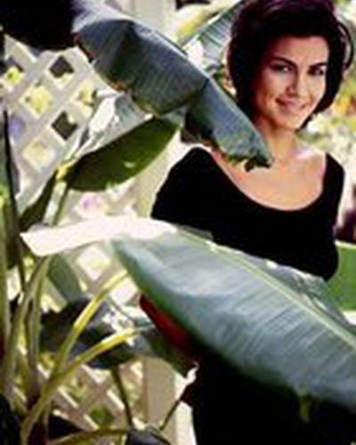 Рэйчел Тикотин фото