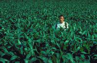 Кадр Поле чудес