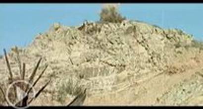 Фан-трейлер 