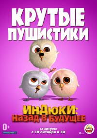 Постер Индюки: Назад в будущее 3D