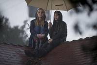 Кадр Мы купили зоопарк