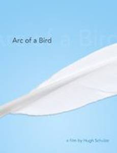 Arc of a Bird