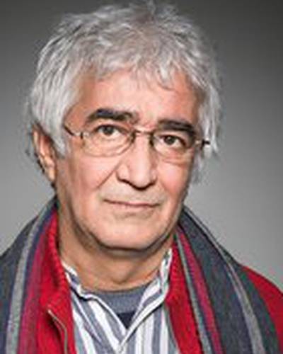 Камбузья Партови фото