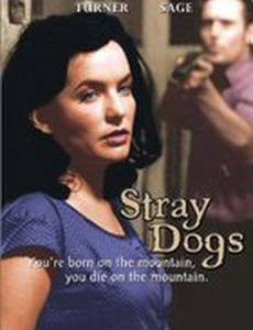 Бродячие псы