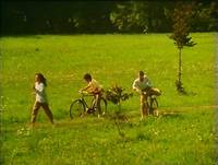 Кадр Аромат кукурузы