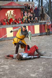 Кадр Мерлин