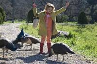 Кадр Мы купили зоопарк