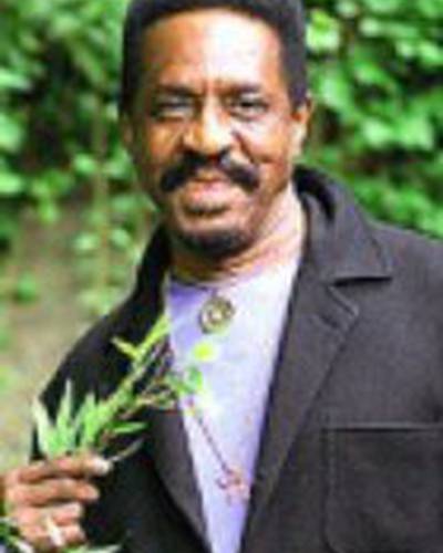 Айк Тёрнер фото