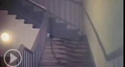 Мультфильм