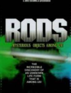 RODS: Mysterious Objects Among Us!