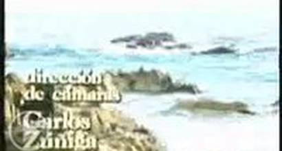 Вступительные титры