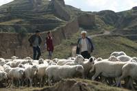 Кадр Great Wall Great Love