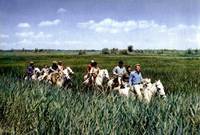 Кадр Откуда ты, Джонни?