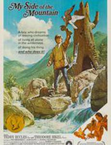 Моя сторона горы