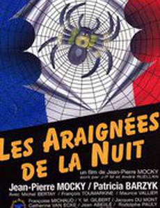 Ночные пауки