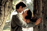 Кадр Дневники «Красной Туфельки»