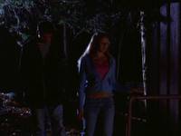 Кадр Кровавая резня (видео)