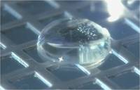 Кадр Вода 2: Тайны живой воды