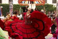 Кадр Рок-звезда