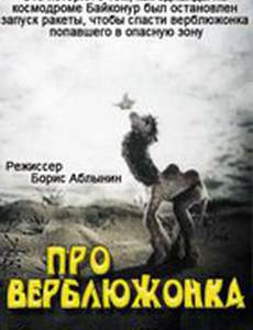 Про верблюжонка