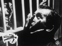 Кадр Анатомия убийства