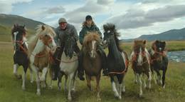 Кадр из фильма "О лошадях и людях" - 1