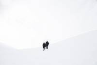 Кадр Каннибал