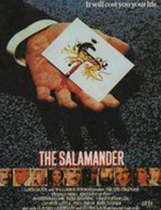 Саламандра