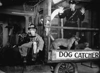 Кадр Лошадиные перья