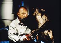 Кадр Феномен