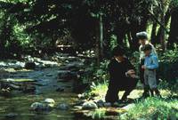 Кадр Там, где течет река