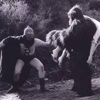 Кадр Рэт Пфинк и Бу Бу