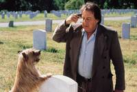 Кадр Два дня в долине