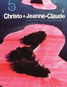 Христо в Париже