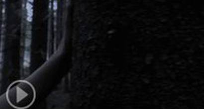 Фрагмент №2