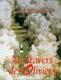 Постер из фильма "Сквозь оливы" - 1