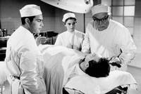 Кадр Доктор страсти