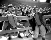 Кадр Лошадиные перья